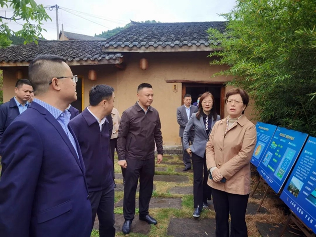 1650507526781657.jpg 朱莉一行調(diào)研四川玄慈觀景文化旅游開發(fā)有限公司萬佛民宿項(xiàng)目.jpg